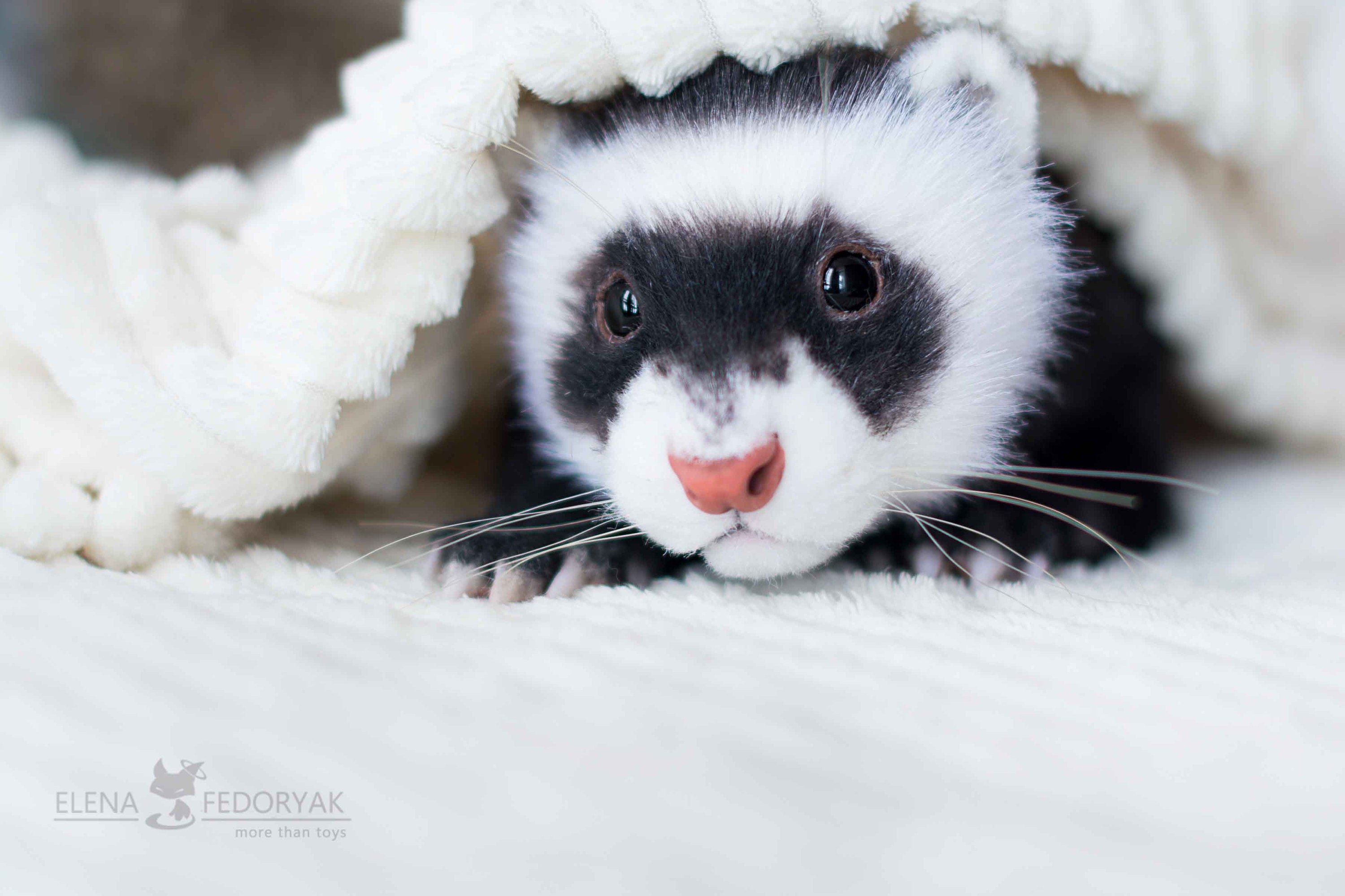Ferret - realistic poseable toy (MADE to ORDER)