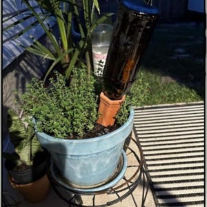 Puede incluir: Una maceta de cerámica azul con una planta verde, una botella marrón y una maceta de terracota. La maceta está sobre un soporte de metal negro. La botella es marrón y está inclinada hacia la planta.