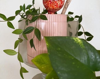 Glass Plant Watering Globes for Indoor Plants – Hand Blown Self Watering Bulbs | Automatic Plant Watering System | 4 Pack 100ml