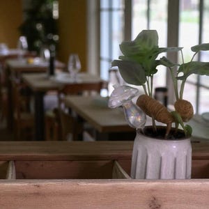 May include: A small potted plant with green leaves and a clear mushroom-shaped watering globe. The pot is white with vertical ridges. The plant is on a wooden surface, with a restaurant setting in the background.