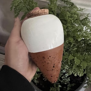 May include: A two-toned ceramic urn with a white upper half and a terracotta-colored lower half. The urn has a cork stopper and is held in a hand. Ferns are in the background.