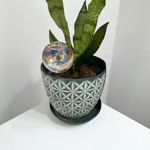 May include: A potted snake plant with a clear, iridescent glass watering globe. The dark green pot has a geometric pattern and sits on a matching saucer. The plant has long, green leaves with lighter green stripes.