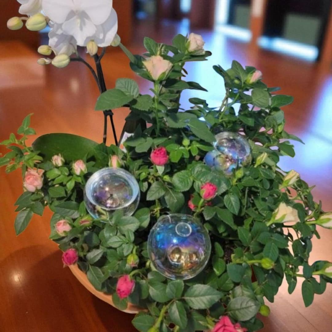6-Pack Iridescent Glass Plant Watering Globes – Self-Watering Bulbs for Indoor & Outdoor Planter, Automatic Watering Stakes and Hanging Pots