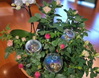 6-Pack Iridescent Glass Plant Watering Globes – Self-Watering Bulbs for Indoor & Outdoor Planter, Automatic Watering Stakes and Hanging Pots