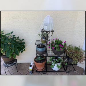 May include: A black metal plant stand with multiple shelves holds various potted plants, including a hanging basket with purple flowers. A water jug with a drip system is suspended above the plants. A bottle of plant food sits on the ground.