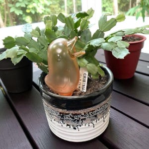 May include: A potted Christmas cactus with a decorative orange bird figurine. The ceramic pot has a black, brown, and white design. A small tag reads "CRISTMAS". Two other potted plants are in the background.