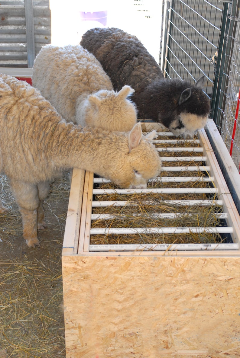 Alpaca livestock low waste feeder box plans tutorial image 3