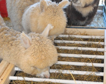 Alpaca livestock  low waste feeder box plans tutorial
