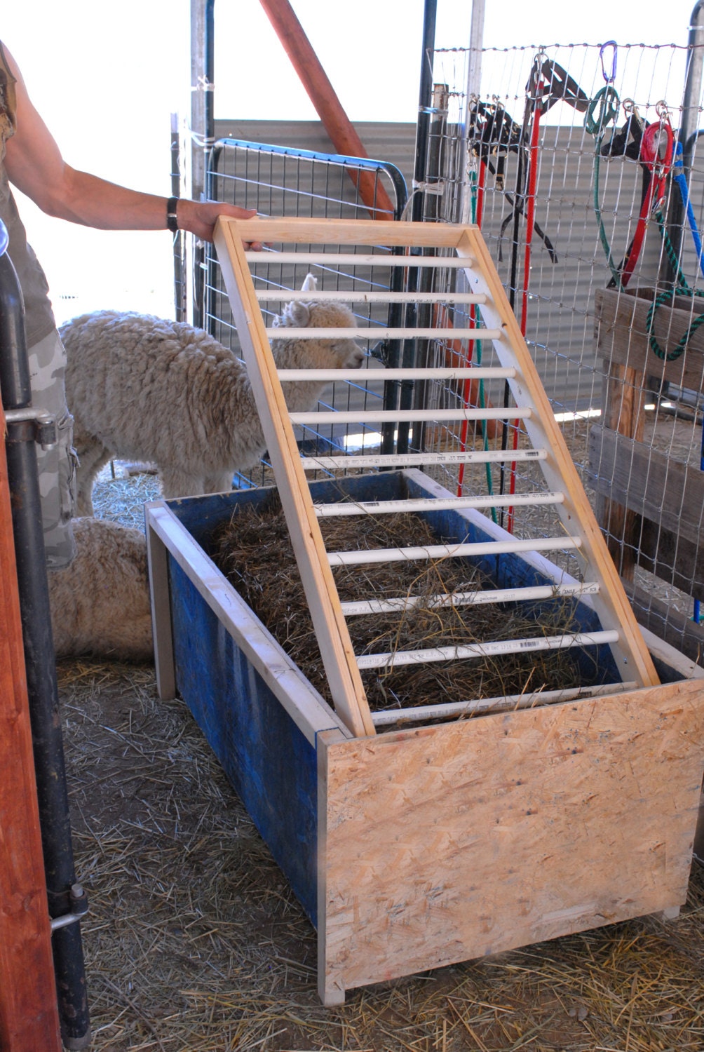 alpaca hay feeder alpaca hay feeder