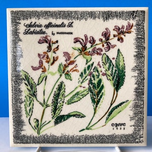 McCormick Salvia Officinalis Tegel Trivet