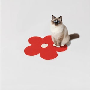 May include: A fluffy Ragdoll cat with blue eyes sits on a red flower-shaped rug with a white centre. The cat has a cream-coloured body with darker points and a fluffy tail. The background is plain white.