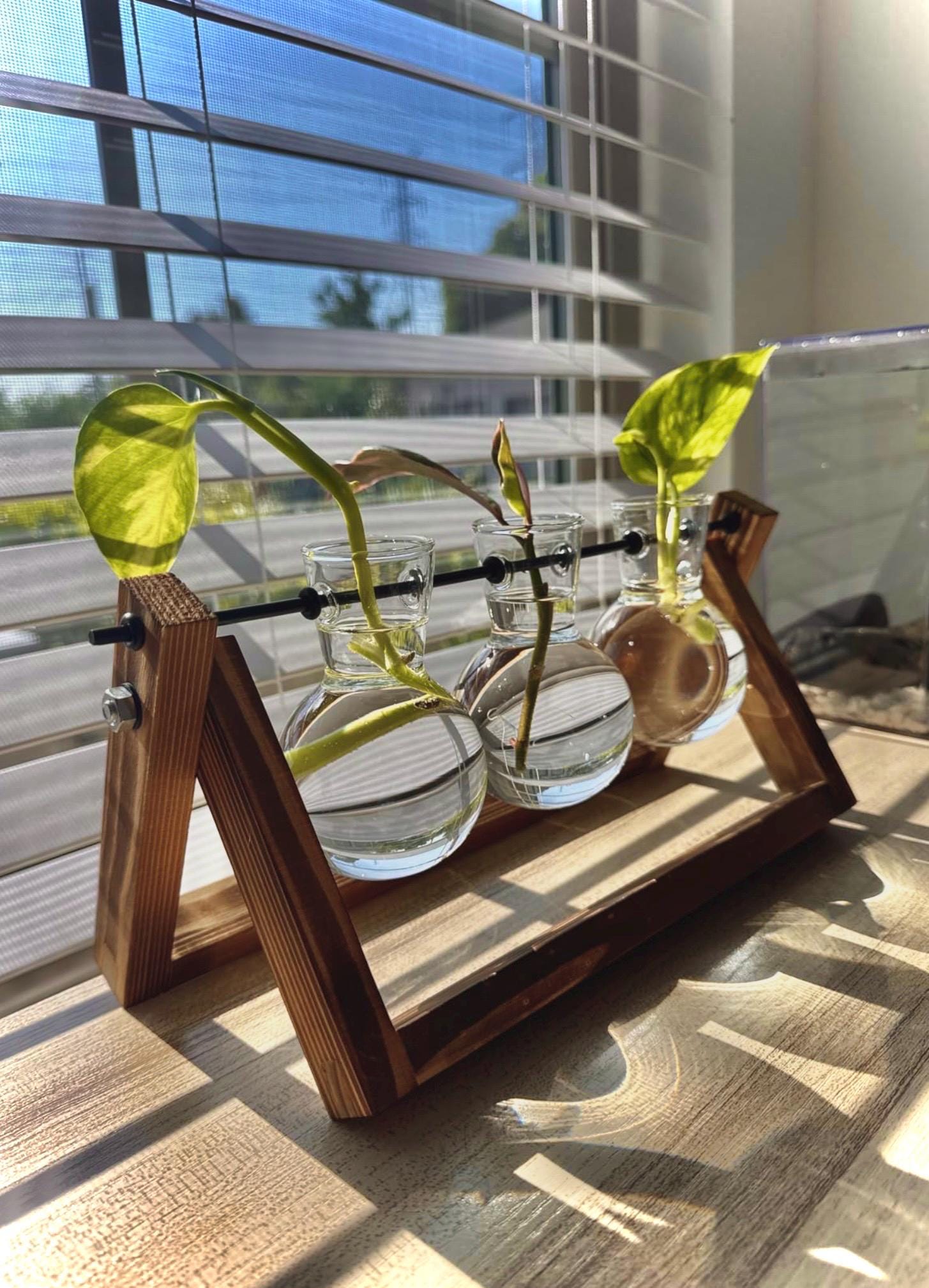 Plant Terrarium With Wooden Stand - Etsy