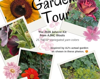 PREORDER 2026 Advent Kit Garden Tour 25 New Variegated Colors on 25 Mini Skeins Superwash Merino Wool Nylon Fingering Weight Yarn