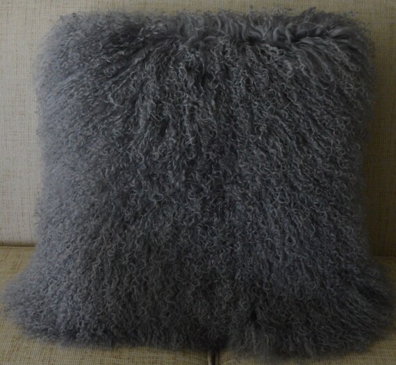 motorcycle dust cover