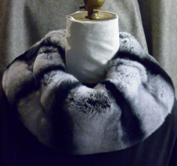 chinchilla rex rabbit