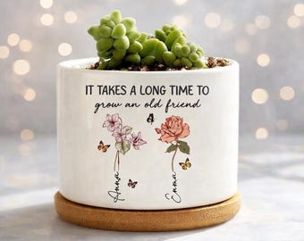 Vaso de cerâmica personalizado para plantas com tema de amizade, vaso de flores personalizado para o mês de nascimento de melhor amiga, presentes de amizade, presente para melhores amigas, presente para melhor amiga