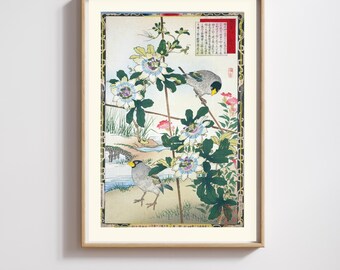 Kono Barei | Japanese Print | Meiji Birds & Passionflower | Restored | 300DPI (Digital Download)