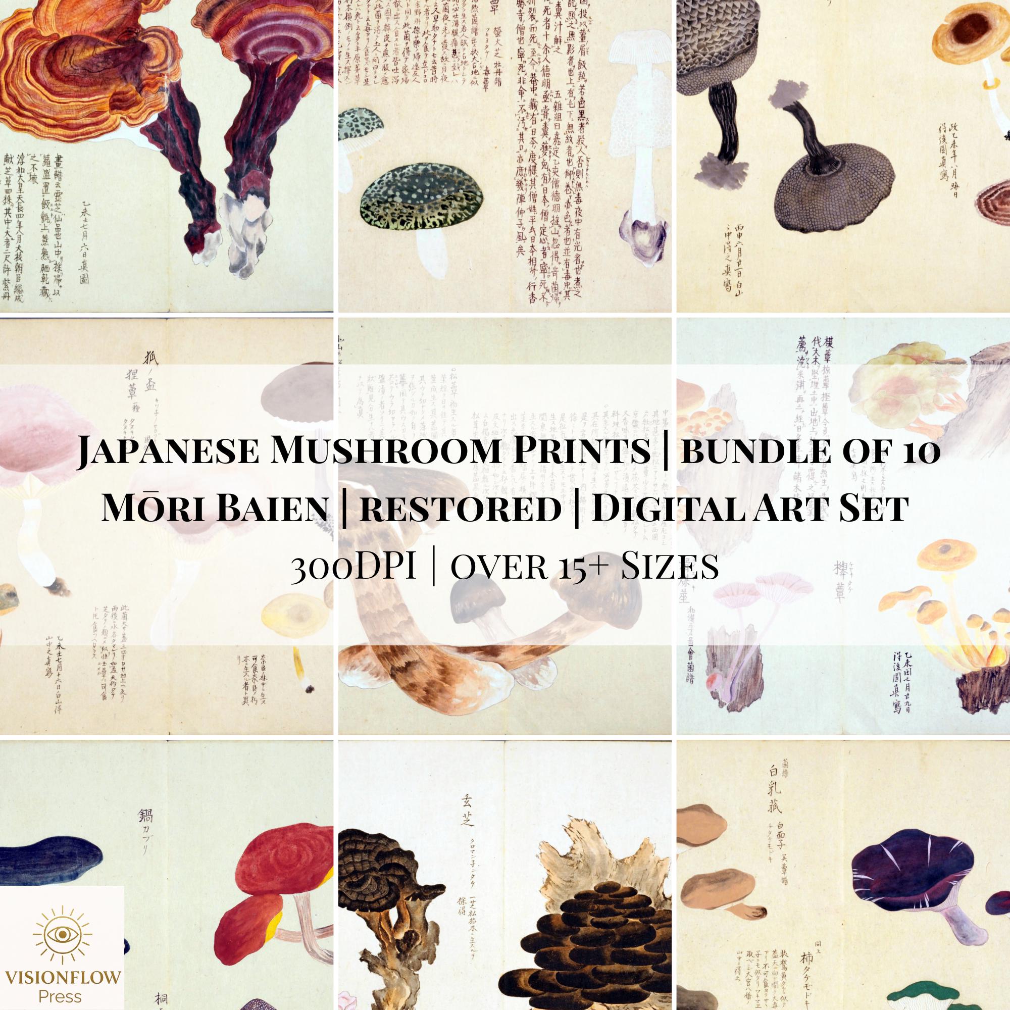 Japanese Mushroom - Etsy Finland