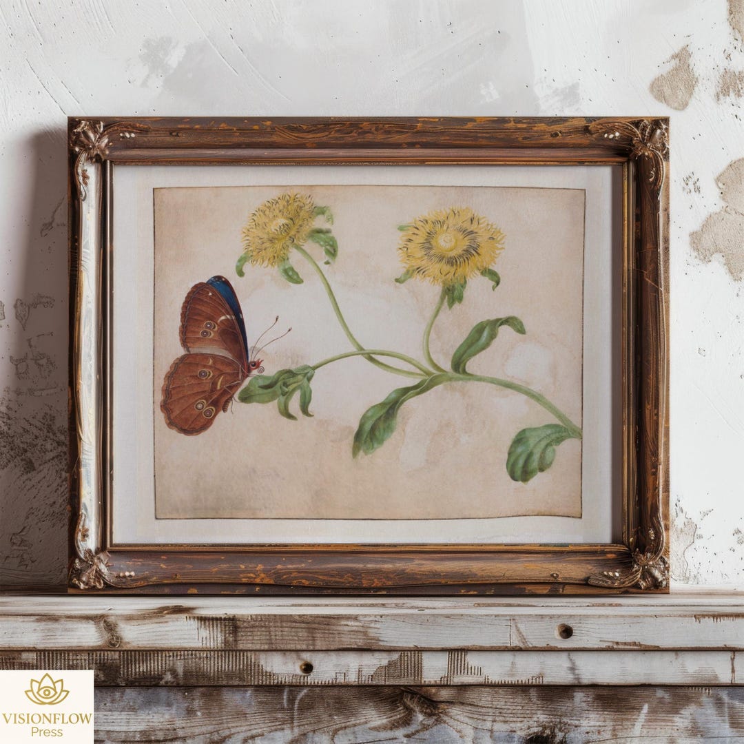 Restored Vintage Butterfly Print | Rijksmuseum Collection | Nature ...