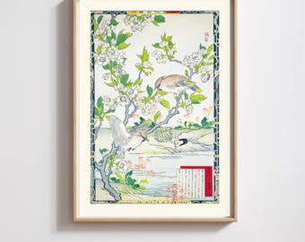 Kono Barei | Japanese Print | Meiji Cardinals and Blossoms | Restored | 300DPI (Digital Download)