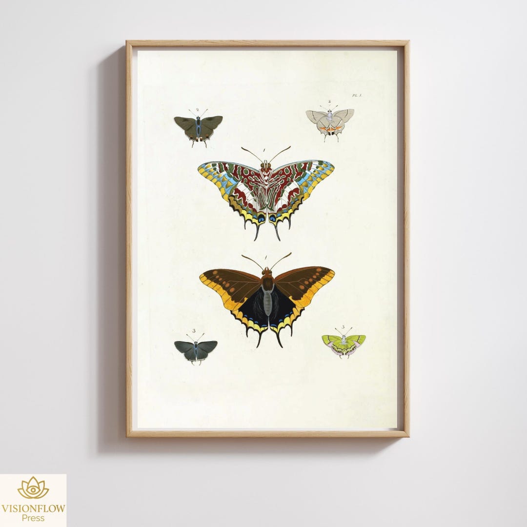 Vintage Butterfly Print | Bold Palette Insect Art | Restored & 300DPI ...