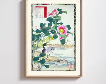 Kono Barei | Japanese Print | Meiji Period Ducks & Blossoms  Art  | Restored | 300DPI (Digital Download)