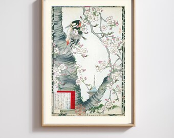 Kono Barei | Japanese Print | Meiji Woodpecker & Cherry Blossoms | Restored | 300DPI (Digital Download)