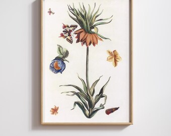 Restored Vintage Floral & Butterfly Botanical Print | Elegant Natural History Illustration | (Digital Download)