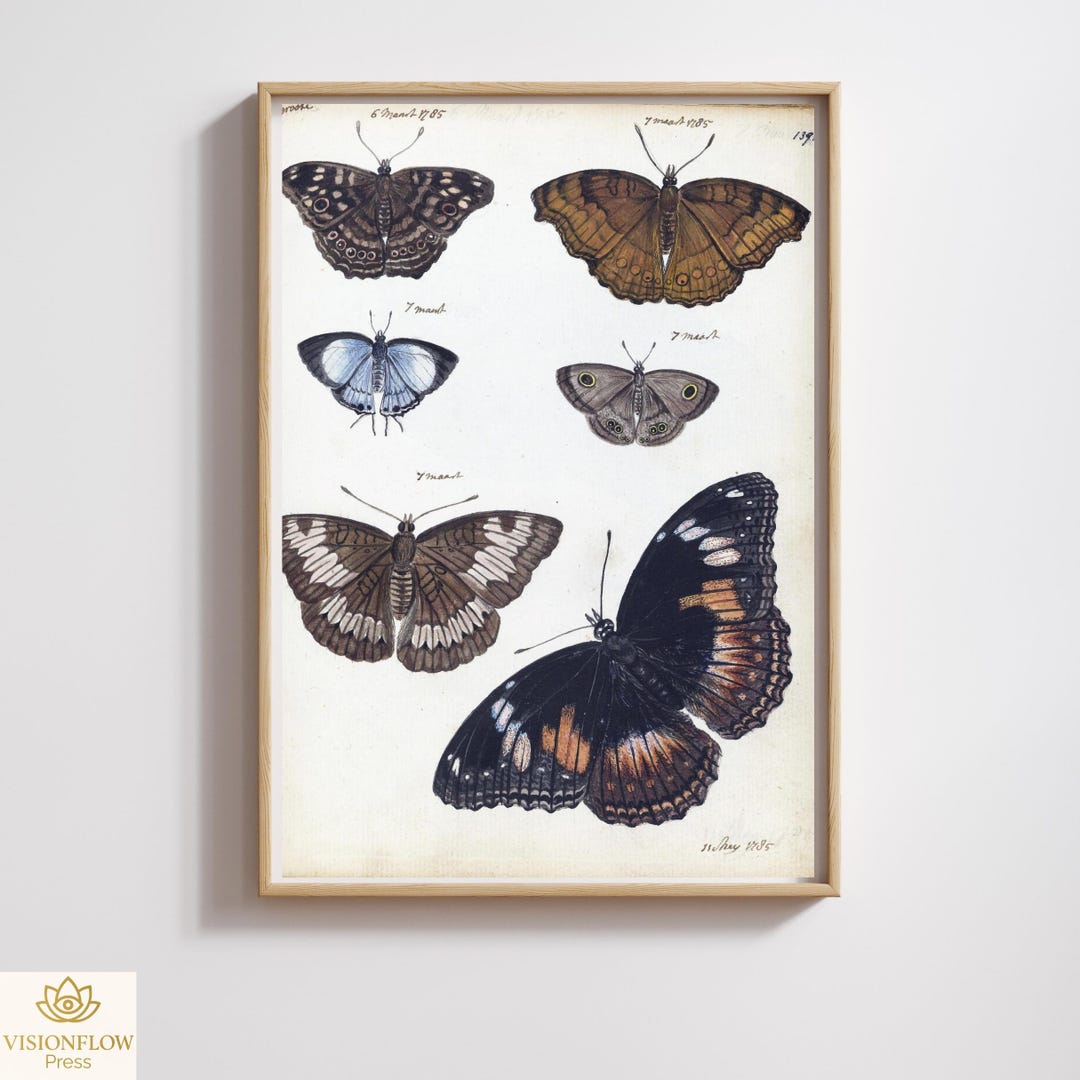 Vintage Butterfly Print | Antique Manuscript Art | Restored & 300DPI ...