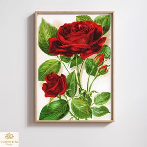 May include: A framed botanical print featuring a vibrant red rose with green leaves and buds. The artwork has a vintage aesthetic, with a light-colored background and a wooden frame. The print is from Visionflow Press.