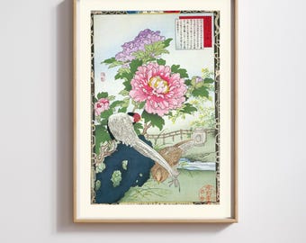 Kono Barei | Japanese Print | Meiji Pheasant & Magnolia | Restored | 300DPI (Digital Download)