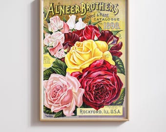 Vintage Rose Print: Restored Antique Floral Art (Digital Download)