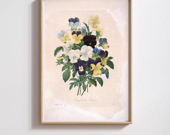 Vintage Botanical Print | Pierre-Joseph Redouté | Pansies Bouquet | Restored & 300DPI | (Digital Product)
