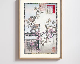 Kono Barei | Japanese Print | Meiji Cherry Blossom Birds | Restored | 300DPI (Digital Download)