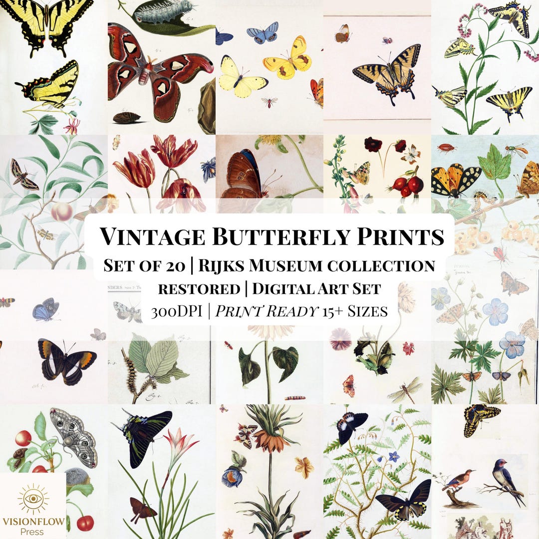 Set of 20 Restored Vintage Butterfly Prints | Rijksmuseum Collection ...