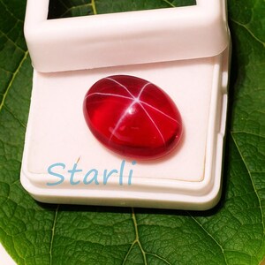 May include: A polished, oval-shaped, red gemstone with a six-rayed star pattern, displayed in a white box. The gemstone is set against a green leaf background. The word "Starli" is written in light blue at the bottom.