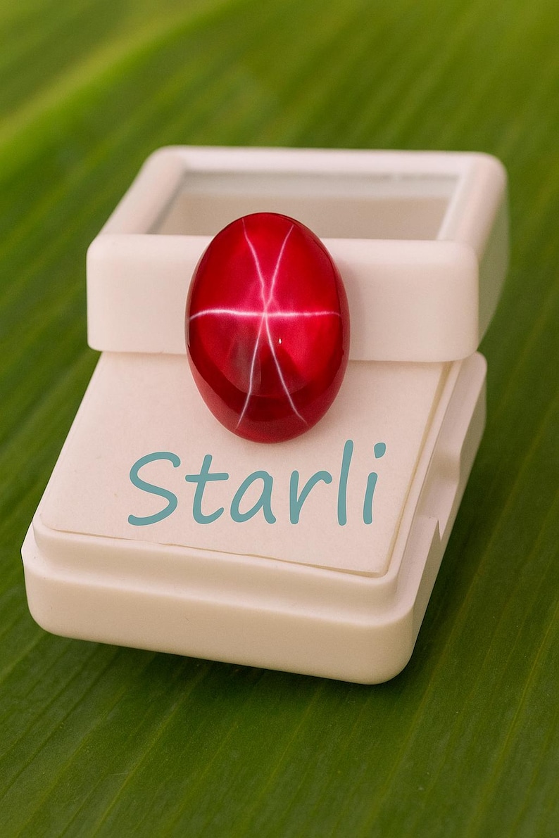 May include: A vibrant red star ruby gemstone, oval-shaped, rests on a white display case. The gemstone exhibits a six-rayed star pattern. The text "Starli" is printed on the case. The background is a green leaf.