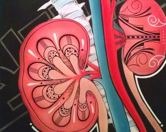 Kidney