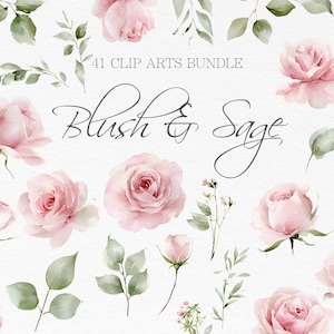 Könnte beinhalten: Eine Sammlung von Aquarell-Clip-Art-Elementen mit blushrosa Rosen und salbeigrünen Blättern. Das Bild enthält einzelne Blumen, Knospen und Blätter, mit dem Text "Blush & Sage" und "41 Clip Arts Bundle".