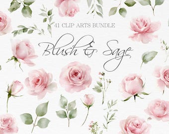 Blush Rose Watercolor Clipart Bundle, Pink Floral Wedding PNG, Sage Leaves Arrangement (Digital Download)
