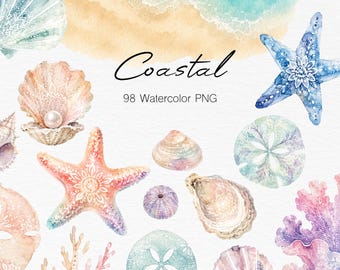 98 Beach Seashell Clipart PNG, Watercolor Coastal Summer Clipart, Starfish Coral Ocean Elements