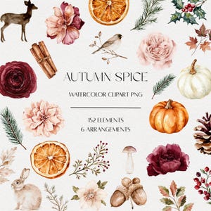 Può includere: Una collezione di illustrazioni ad acquerello con un cervo, un coniglio, un uccello, zucche, pigne, ghiande, bastoncini di cannella, fette di arancia essiccata, funghi, bacche, agrifoglio e vari fiori con il testo AUTUMN SPICE WATERCOLOR CLIPART PNG.