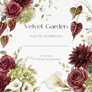 以下が含まれることがあります： 「Velvet Garden」と「Floral Clip Art Watercolor」のテキストが入った水彩デザイン。画像は、バーガンディ色のバラ、白いカラー、緑の葉のボーダーを示しています。デザインには30のエレメントと18の既製アレンジメントが含まれています。