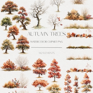 May include: A collection of watercolour illustrations featuring various trees, shrubs, and grasses in autumn colours of red, orange, and brown. The text reads AUTUMN TREES WATERCOLOR CLIPART PNG 142 ELEMENTS. These digital graphics depict seasonal foliage.
