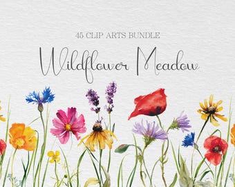 Watercolor Wildflower Meadow Clipart Bundle | 45 Botanical PNG Files (Commercial Use)