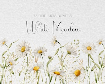 SPRING&SUMMER CLIPART