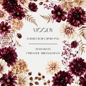 May include: A digital graphic featuring a floral border of watercolour dahlias and cosmos in deep burgundy and cream tones. The centre text reads MOODY WATERCOLOR CLIPART PNG, 70 ELEMENTS, 7 PREMADE ARRANGEMENTS. The design is set against a textured white background.