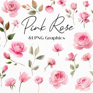 Può includere: Illustrazione ad acquerello di rose rosa, boccioli e foglie. L'immagine include il testo "Pink Rose" e "61 PNG Graphics" in un carattere script. Le rose sono in varie fasi di fioritura, con foglie verdi.
