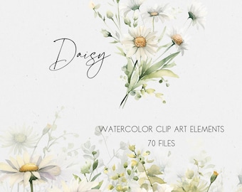 Watercolor Daisy Clipart Set: 70 White Floral PNGs (Digital Download)