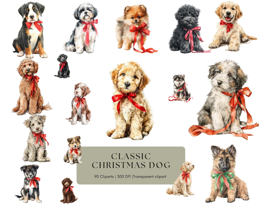 Christmas Dog Clipart Bundle: Holiday Floral PNG Images (digital ...